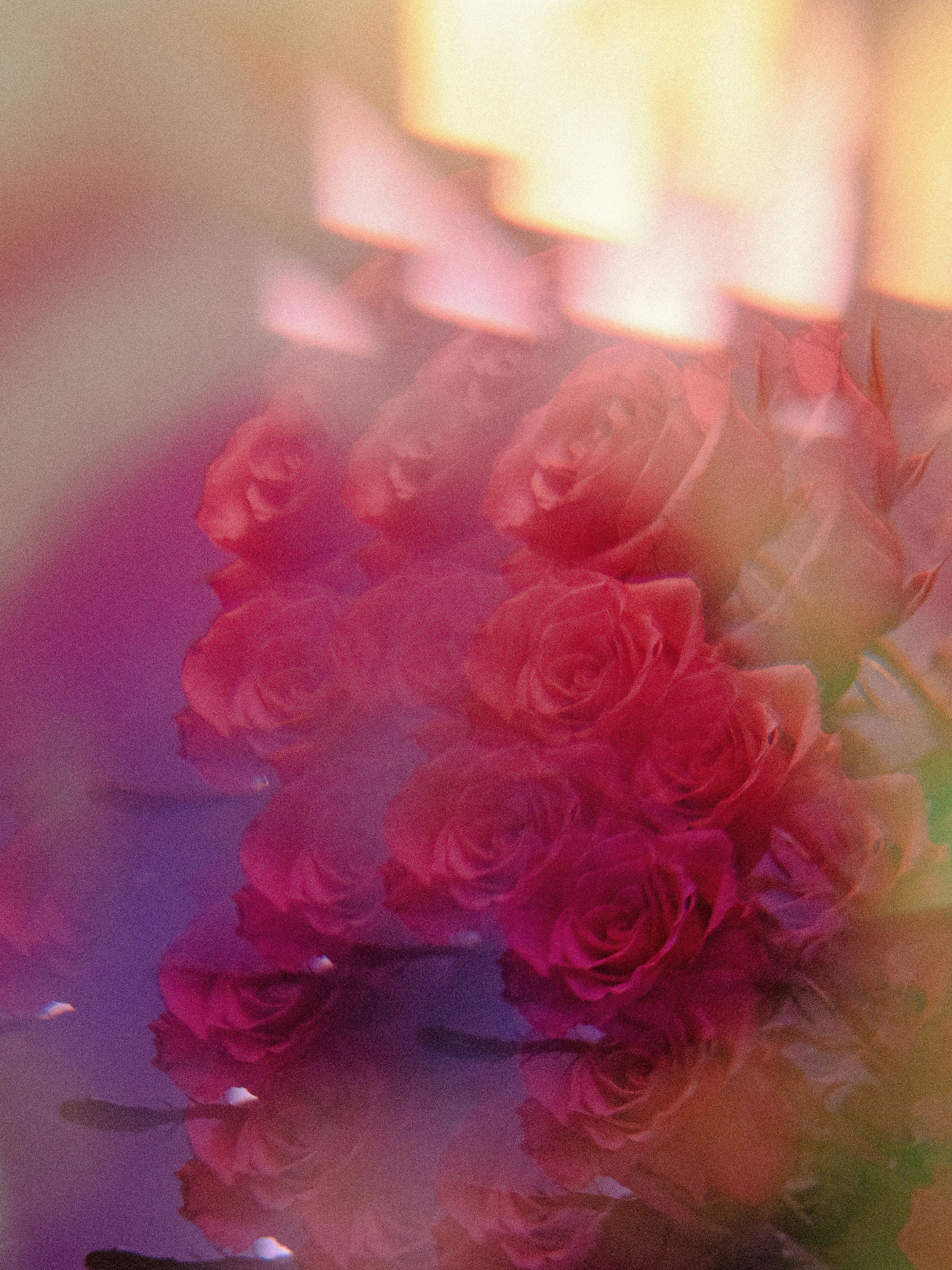 Artistic double exposure of red roses creating a kaleidoscope effect with vibrant, multi-colored abstract tones.