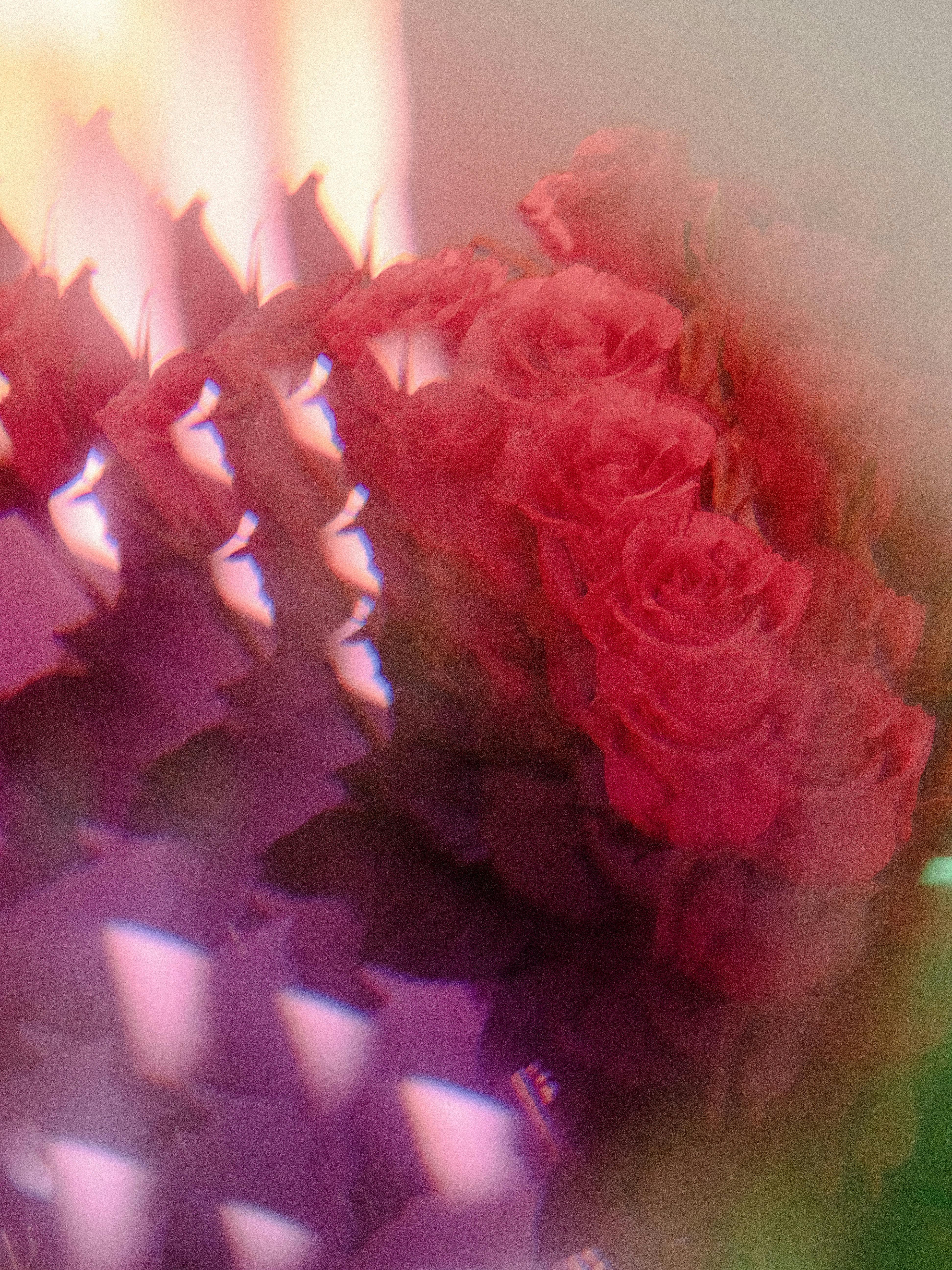 Kaleidoscope Picture of Red Roses · Free Stock Photo