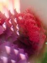 Kaleidoscope Picture of Red Roses