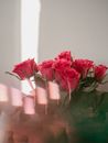 Double Exposure of Bunch of Pink Roses