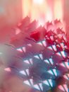 Kaleidoscope Picture of Red Roses