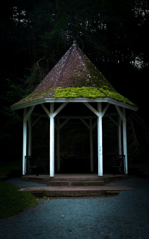 Gazebo with Moss on the Roof 
