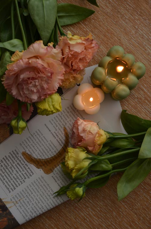 Gratis arkivbilde med blader, blomster, blomsterarrangement