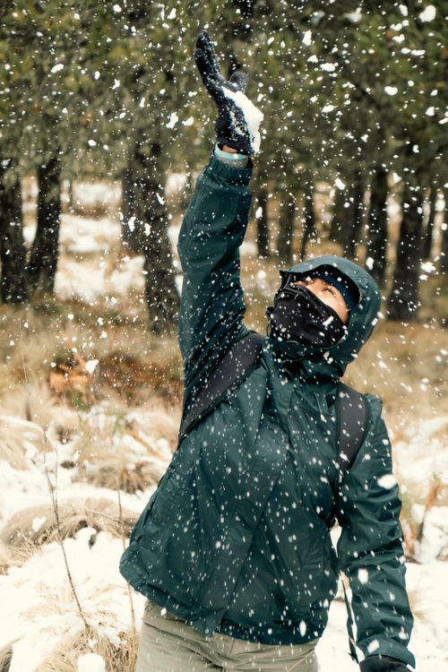 Free Person dressed in winter gear playing with snow outdoors in a forest during winter. Stock Photo