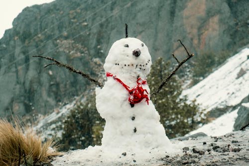 Snowman with Mountains Behind