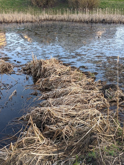 Бесплатное стоковое фото с вода, прекрасный пейзаж, соединенное королевство