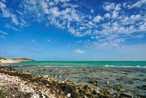 คลังภาพถ่ายฟรี ของ ชายฝั่งทะเล, ชายหาด, ธรรมชาติ