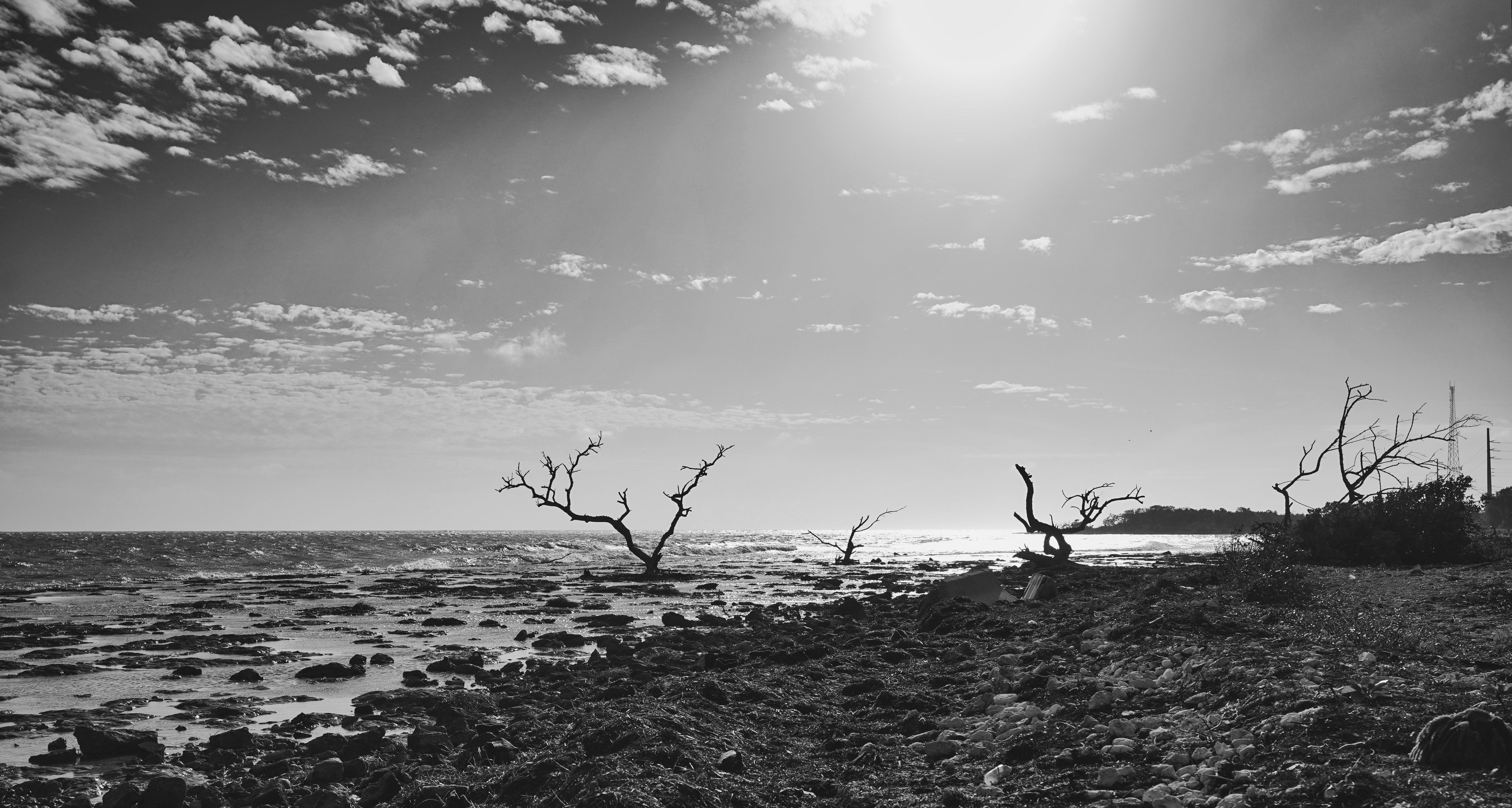 Black and White Picture of a Coast · Free Stock Photo