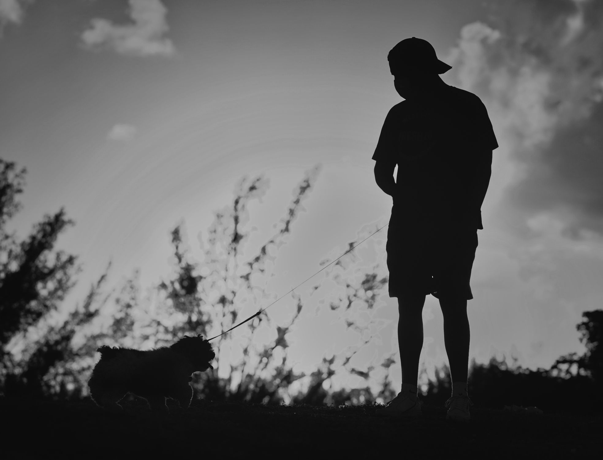 Silhouette of a Man with a Dog · Free Stock Photo