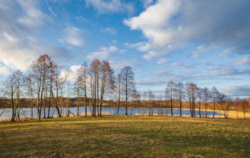 Бесплатное стоковое фото с берег озера, красивый взгляд, озеро