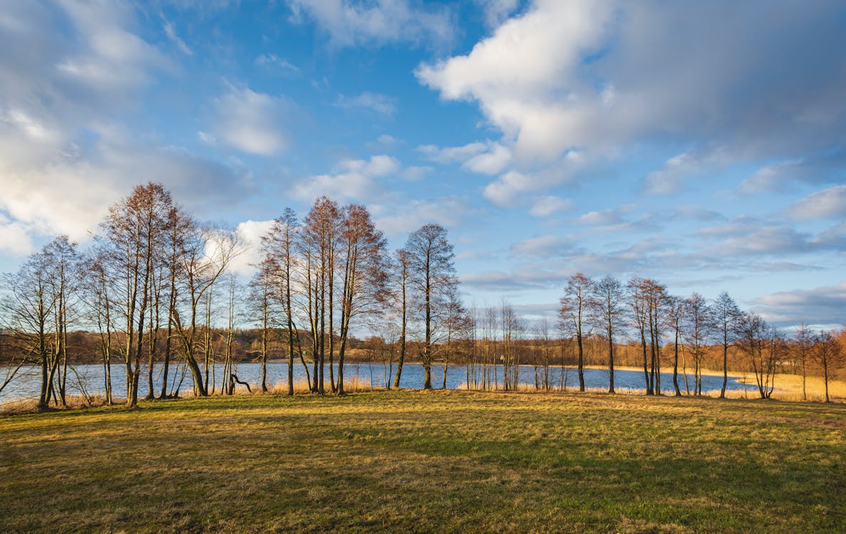 Darmowe zdjęcie z galerii z brzeg jeziora, fotografia krajobrazowa, jezioro