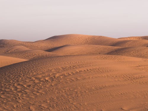 Brown Sand Dunes in a Desert