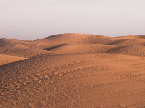 Golden sand dunes under a clear sky capture the serene beauty of the Algerian desert landscape.