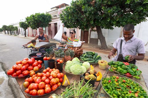 People Selling Fresh Fruit and Vegetables on a Market Stall 