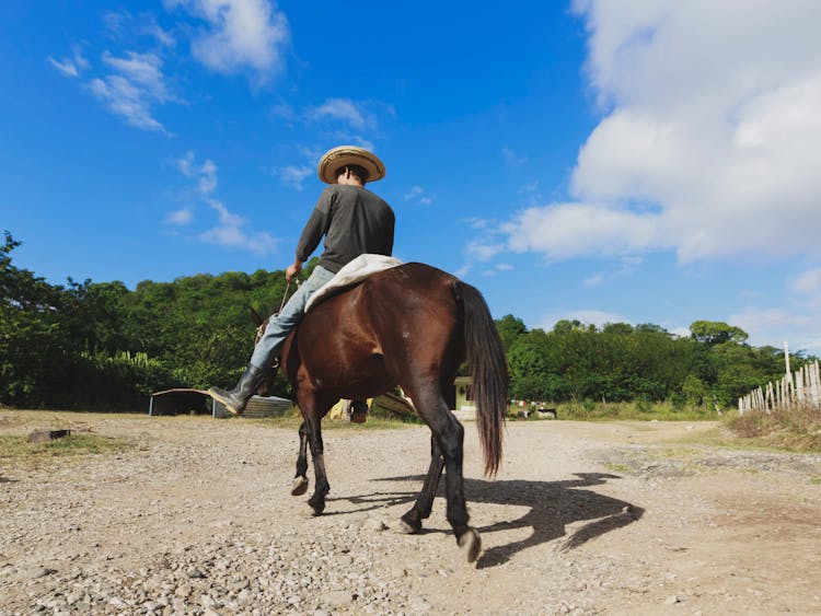 Back View Of A Man Riding A Brown Horse