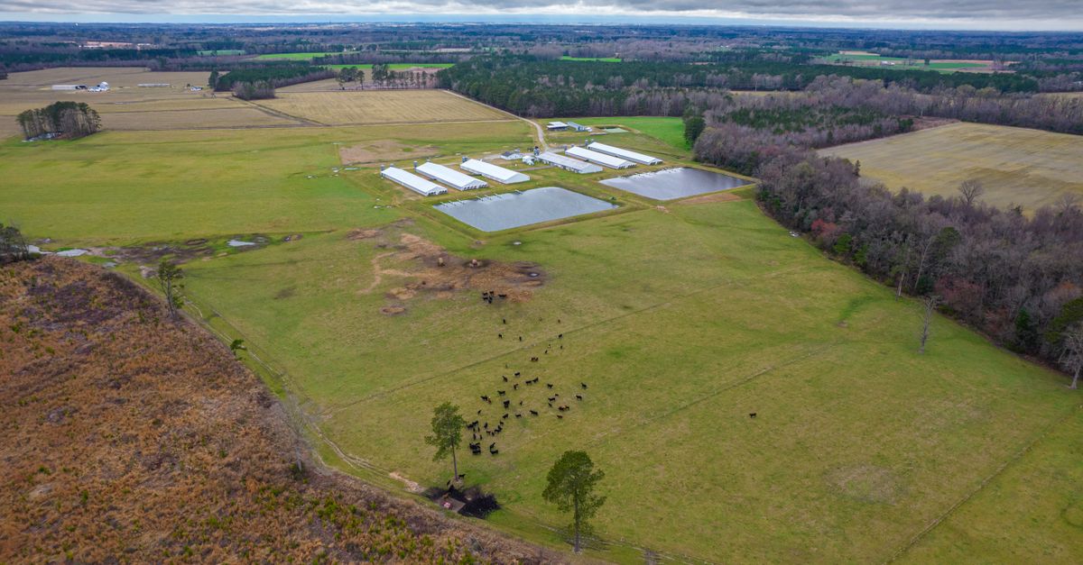 Aerial shot of a rural farm in North Carolina showcasing fields, ponds, and buildings.