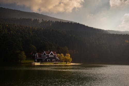 Brown Wooden House on Lake Near Green Trees
