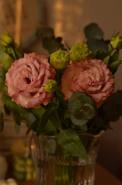 Δωρεάν στοκ φωτογραφιών με lisianthus, ανθίζω, άνθος