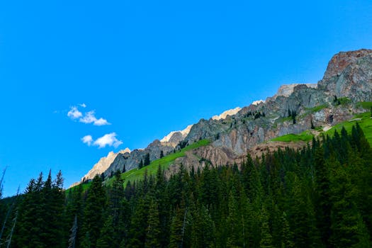 Breathtaking view of the rocky mountains and dense forest under a clear blue sky in Kananaskis, Alberta.