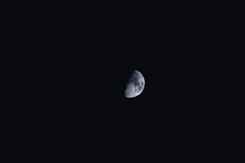 Quarter Moon on Black Sky 
