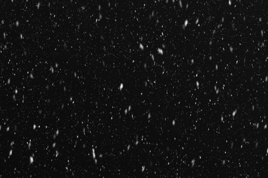 Captivating black and white snowfall at night in Canada, creating a serene winter scene.