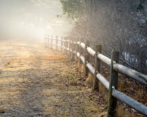 Brown Grassland and Wooden Fence on a Foggy Day