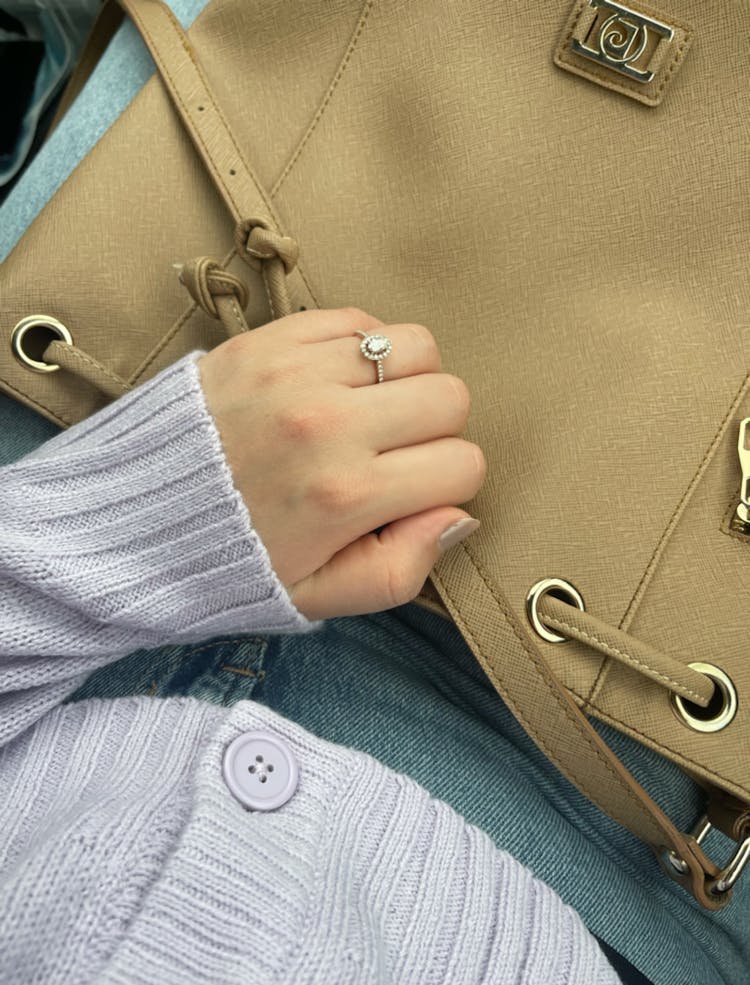 Woman Hand On Bag