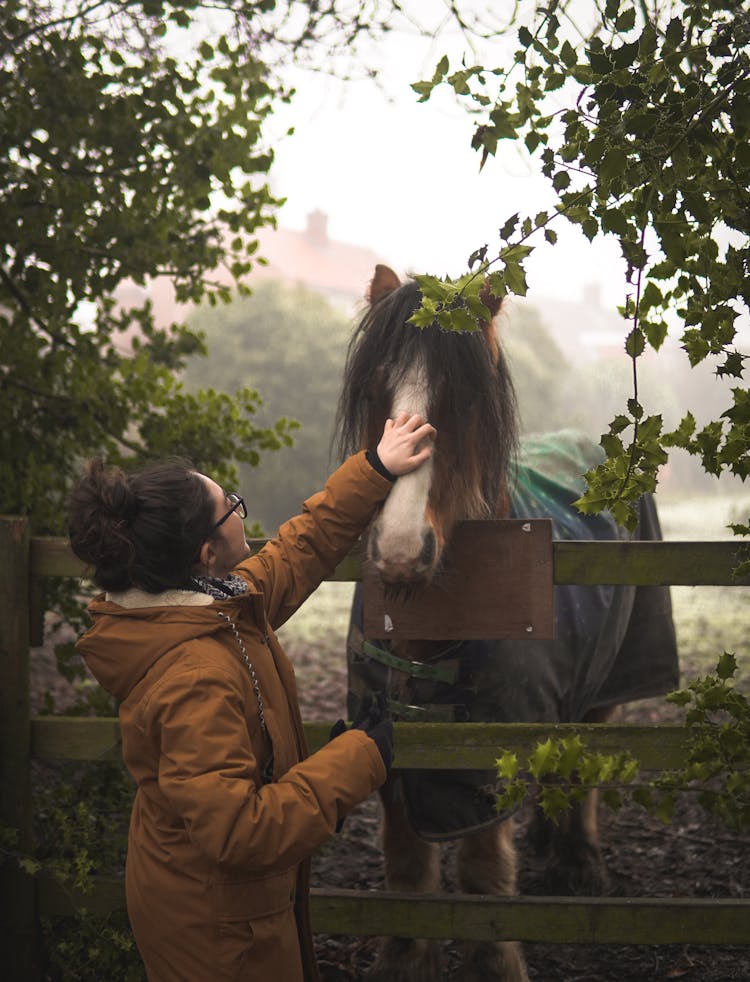 Woman Petting A Brown Horse