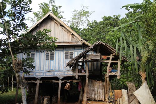 Free A wooden rustic house surrounded by dense forest on a sunny day, blending nature and architecture. Stock Photo