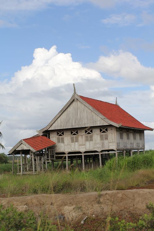 Free A traditional wooden stilt house with red roof set in a grassy rural landscape under a bright sky. Stock Photo