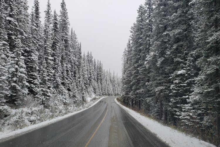 Bow Valley Parkway