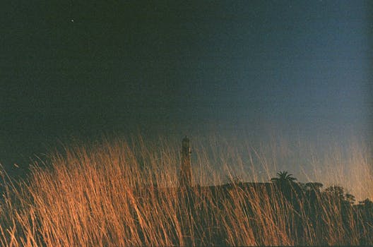 Atmospheric view of a lighthouse through beach grass at dawn in Mar del Plata, Argentina.