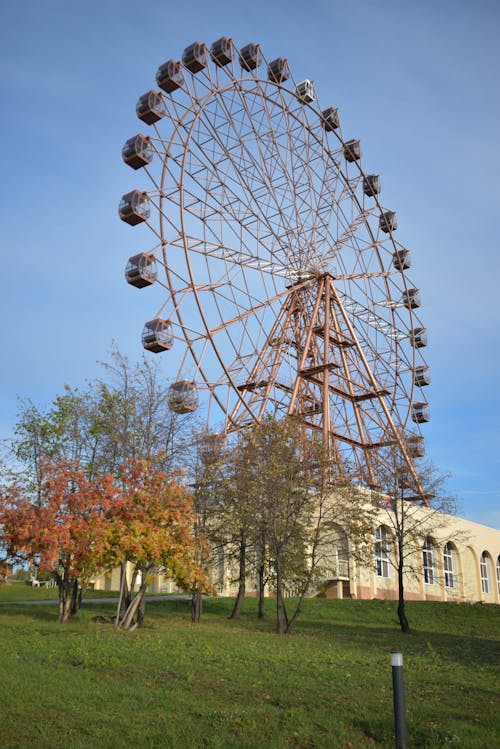 Ferris Wheel Near Trees and Building 