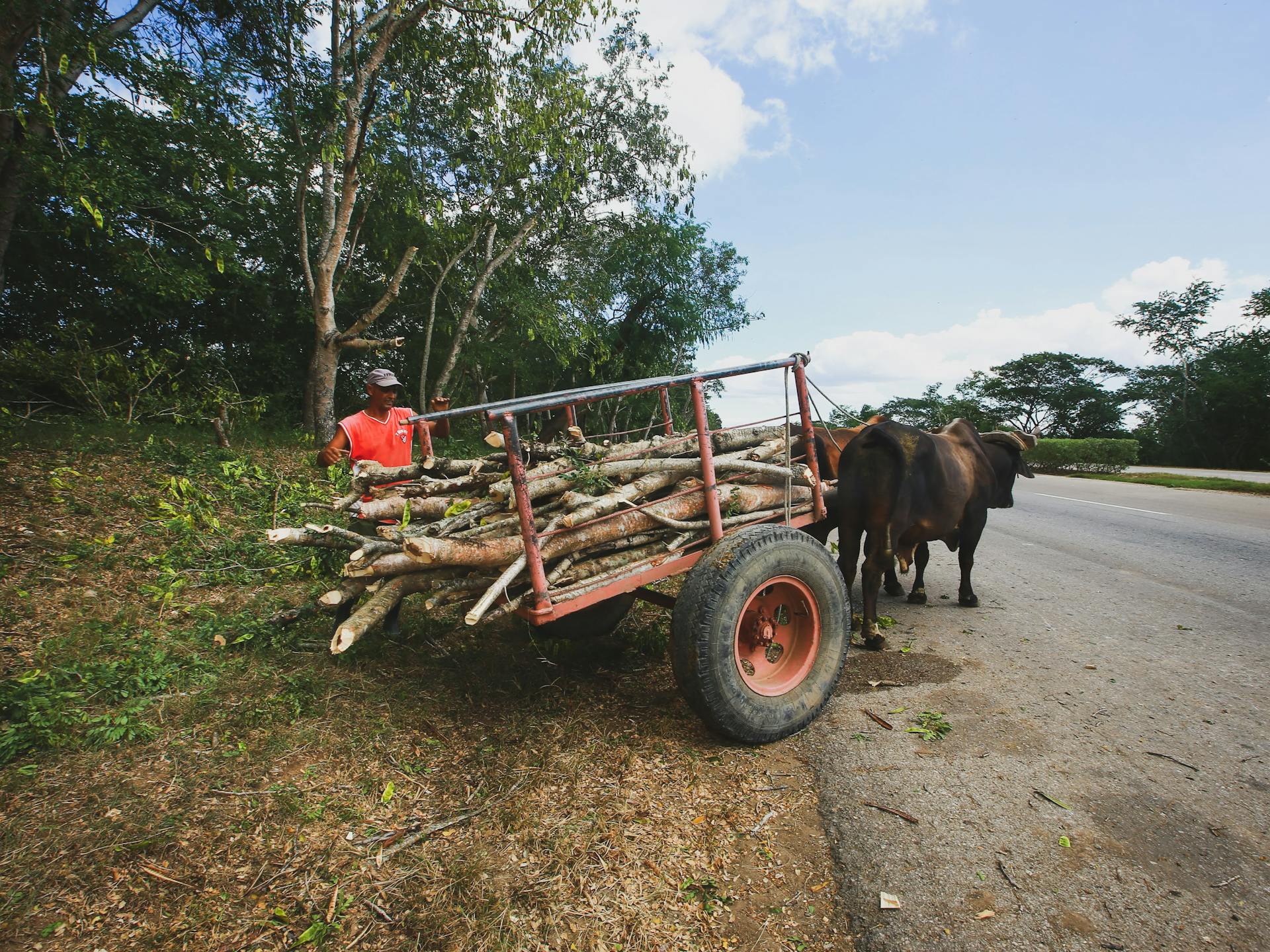 Man Loading Wood on Trailer