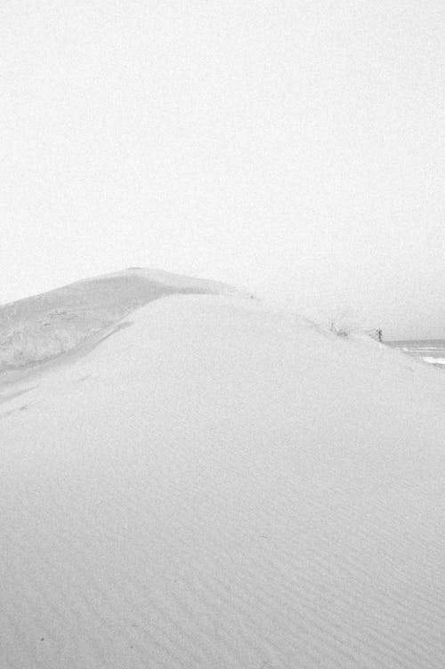 Бесплатное стоковое фото с вертикальный выстрел, монохромный, песчаная дюна