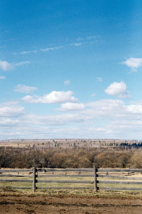 Scenic View on the Countryside