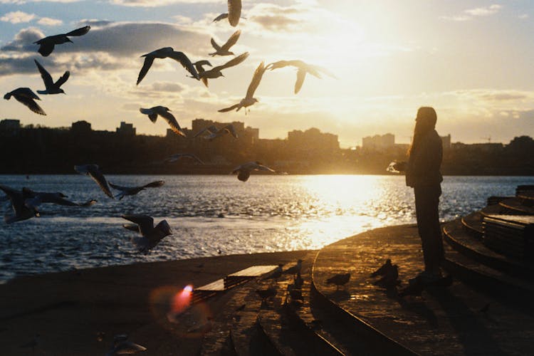 Woman Feeding Birds