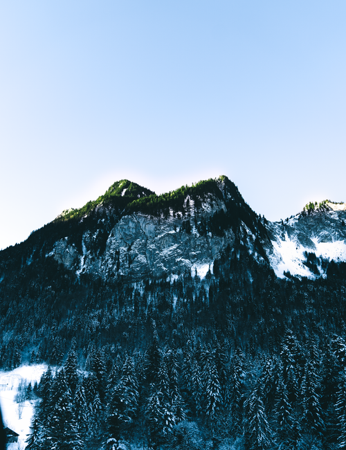 Free Breathtaking view of snow-covered peaks and forests in the Swiss Alps under a clear blue sky. Stock Photo