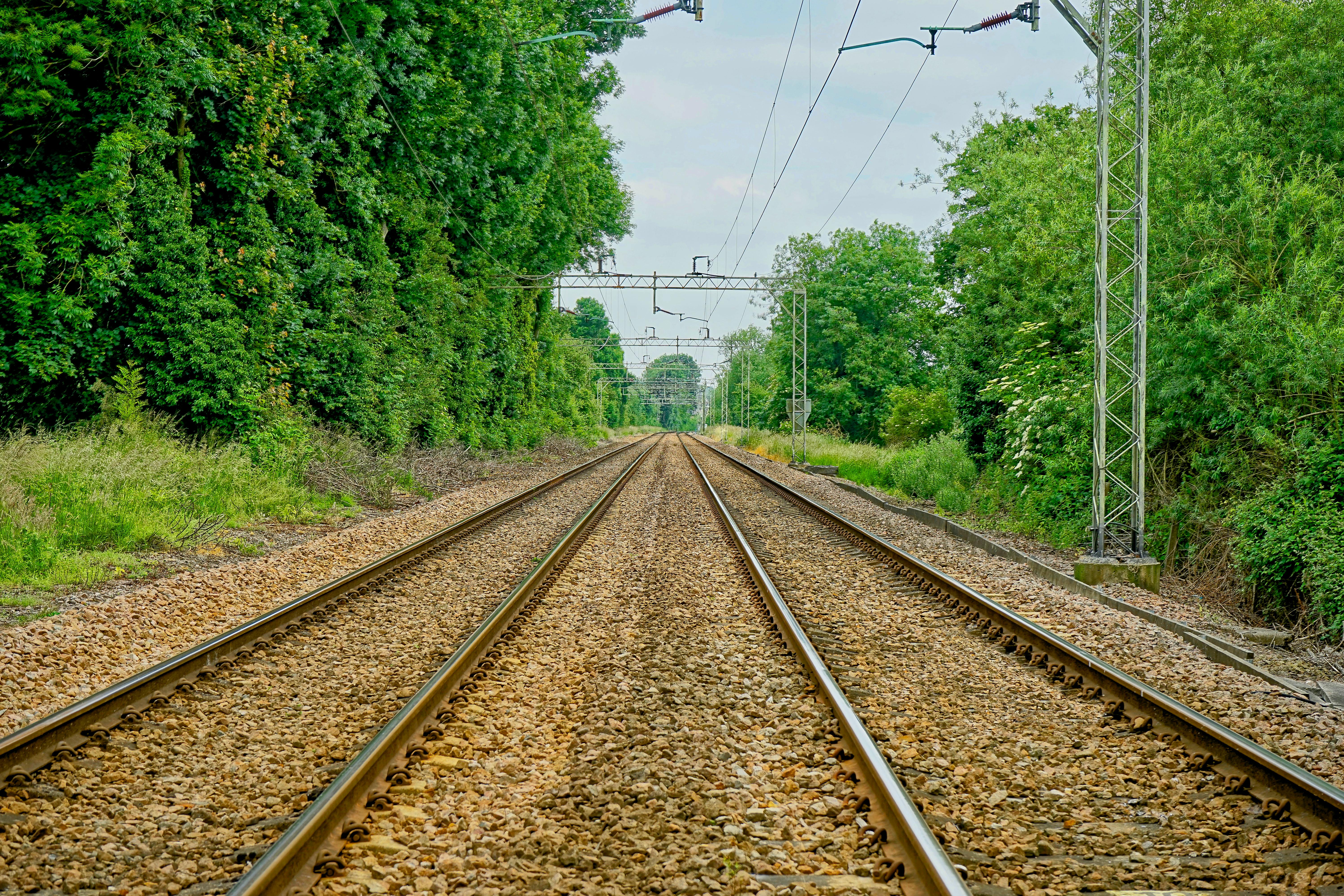 Free stock photo of train tracks, trees