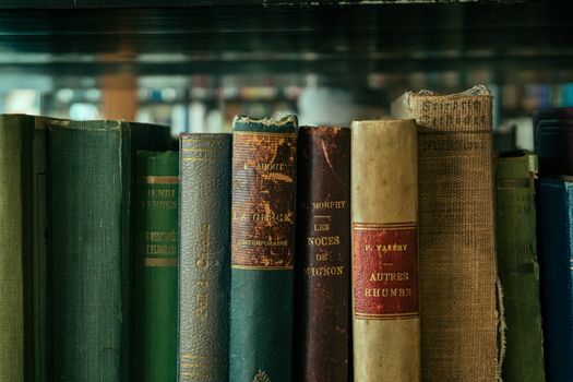 Unlock Your Passion: Art History Courses Online Free Canada