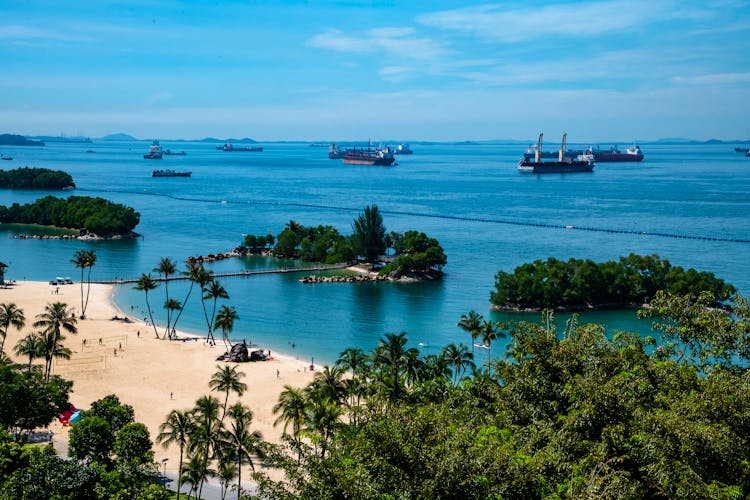 Ships On The Bay Harbor