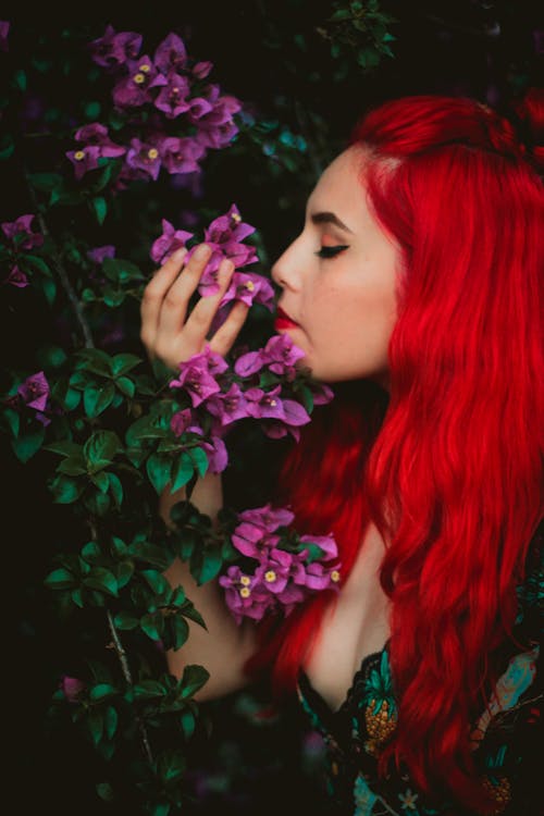 紫色のブーゲンビリア植物を嗅ぐ女性