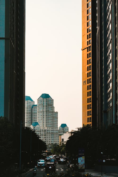 High Rise Buildings in the City