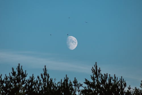 Waxing Gibbous Moon in the Sky