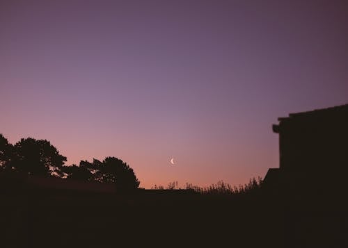 Foto stok gratis bangunan, bayangan hitam, langit ungu