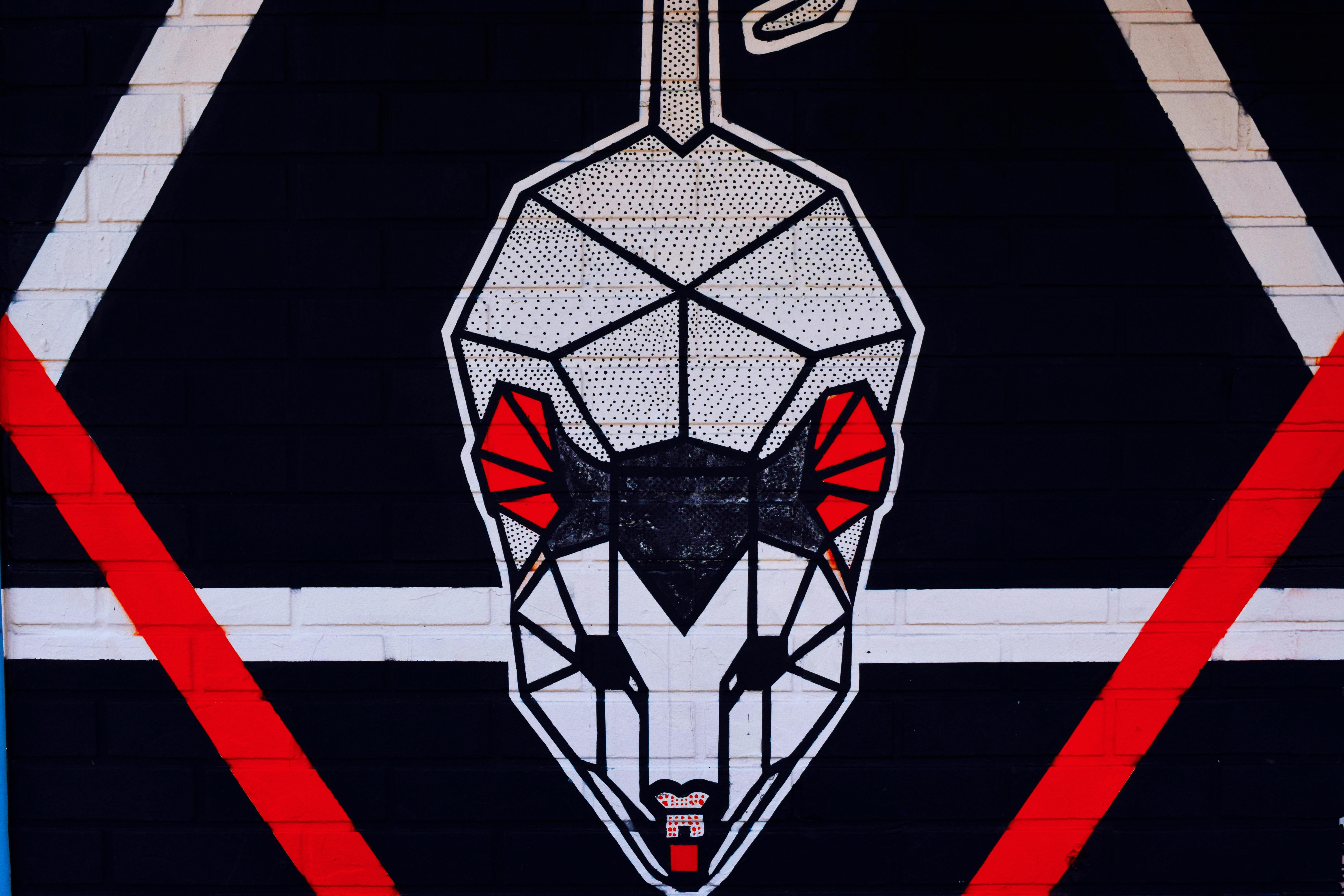 Difference Between Crossbow And Compound Bow Broadheads Difference