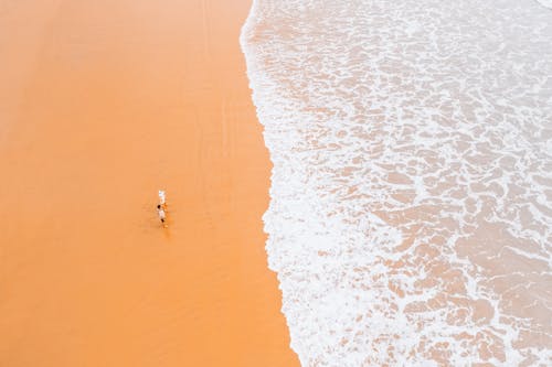 Foto profissional grátis de aerofotografia, água, areia marrom