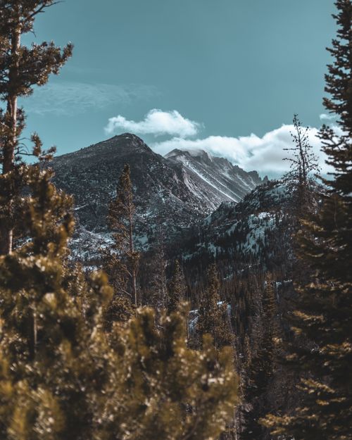 Free Breathtaking view of snow-covered Rockies and forests in CO, USA. Stock Photo