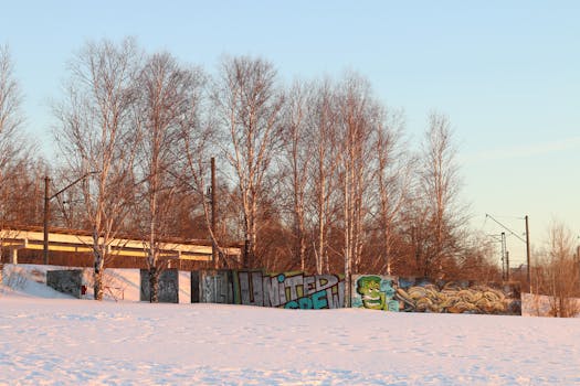 A snowy landscape with vibrant graffiti on a wall surrounded by bare trees in winter.