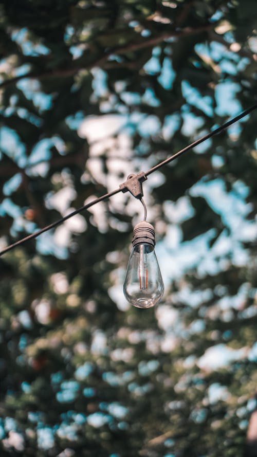 Free A Light Bulb Hanging on Wire Under a Tree Stock Photo